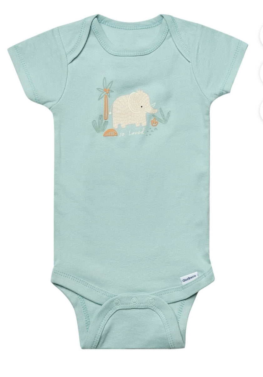 Baby: Gerber Baby “Blue/Green”