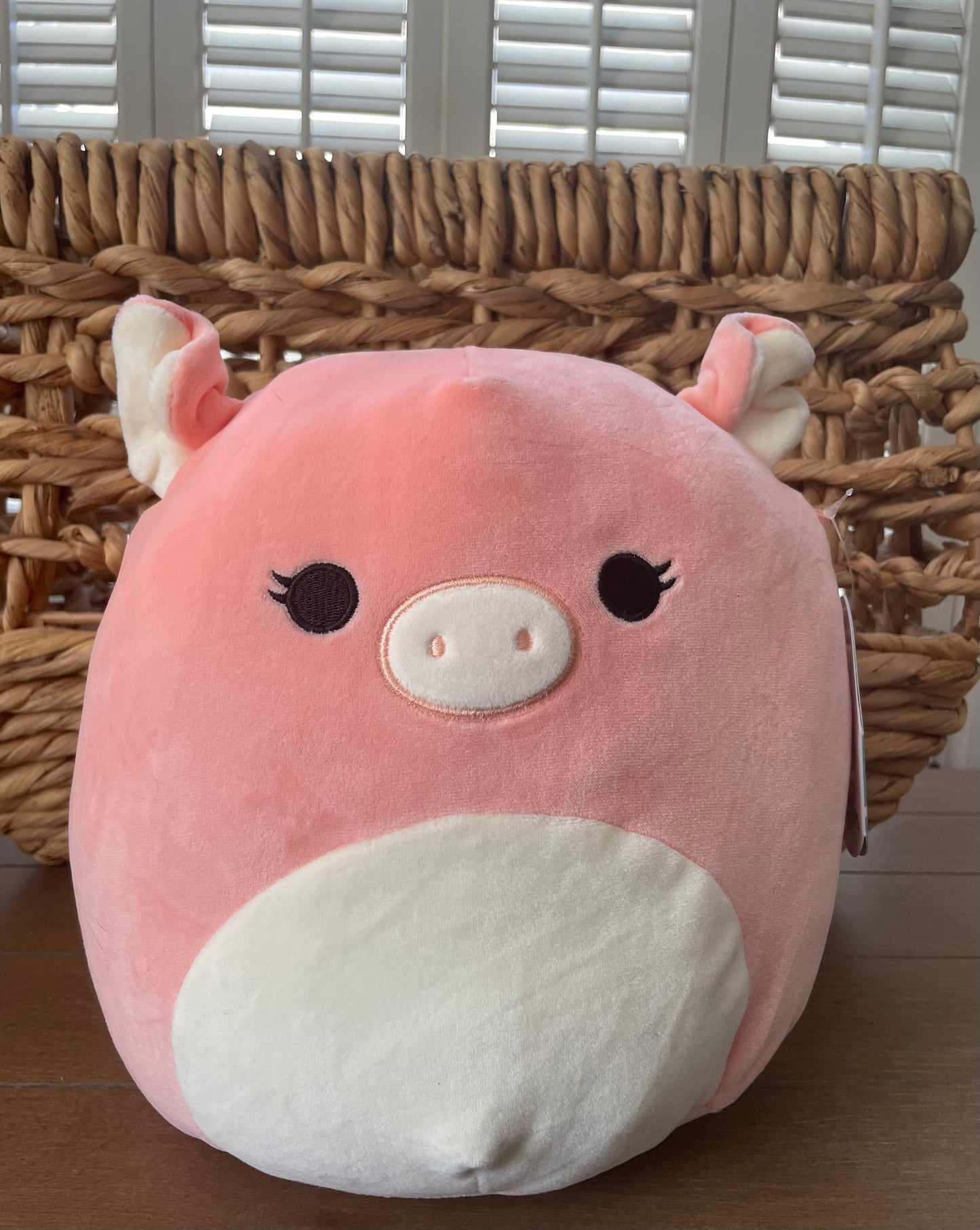 Squishmallow