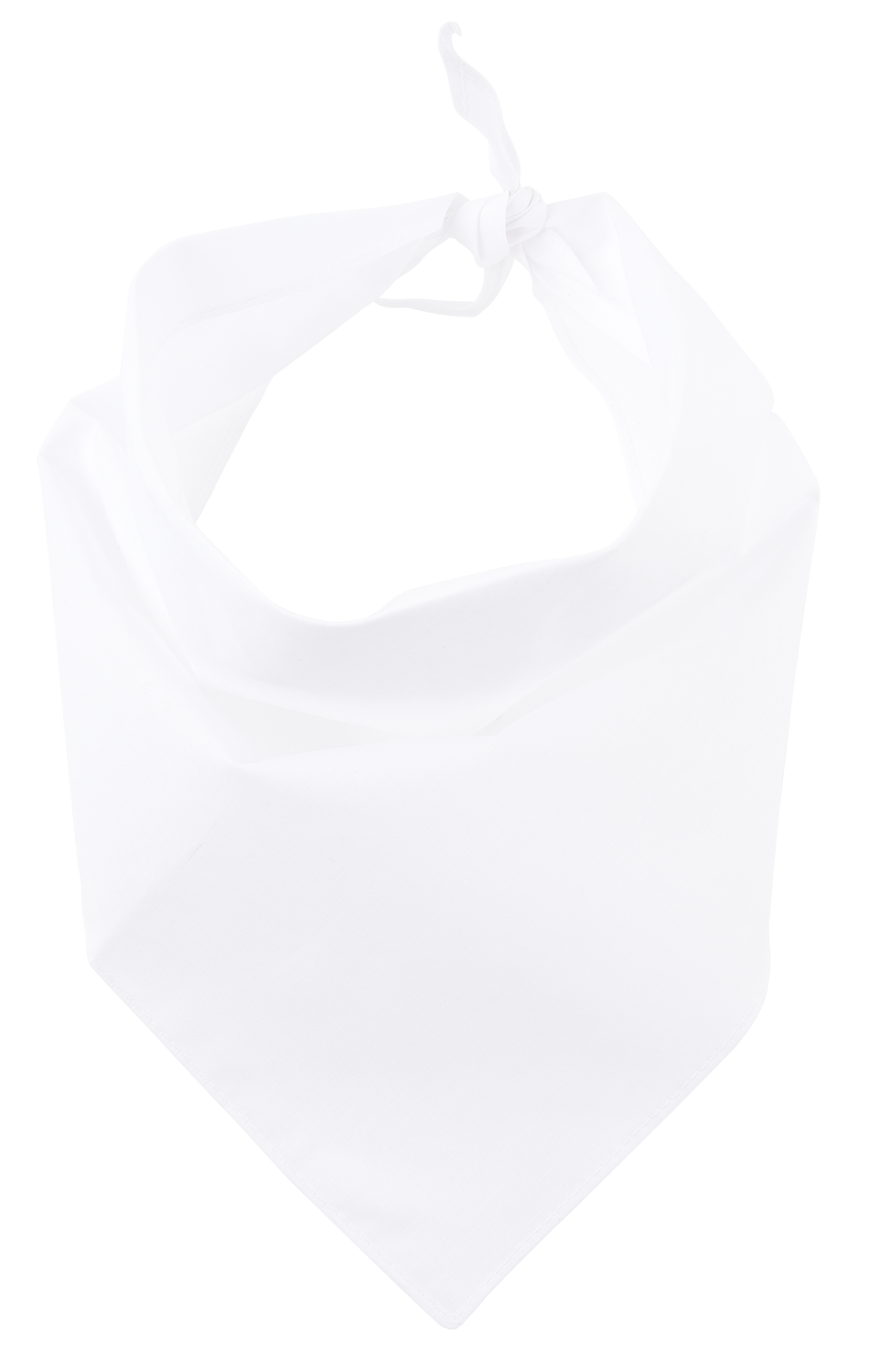 Pet Bandana