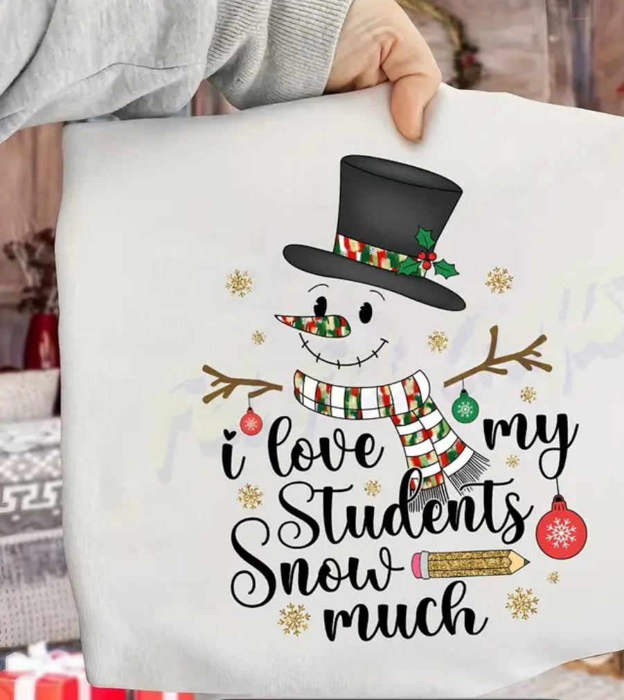 ✨Decal Only: I Love My Students Snow Much