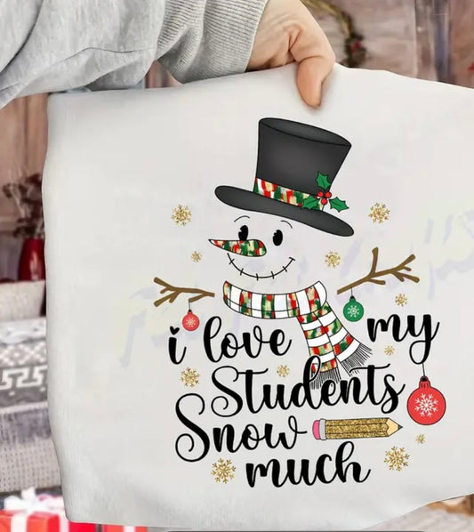✨Decal Only: I Love My Students Snow Much