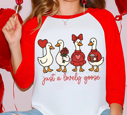 ✨Decal Only: Just a Lovely Goose (Option 2)