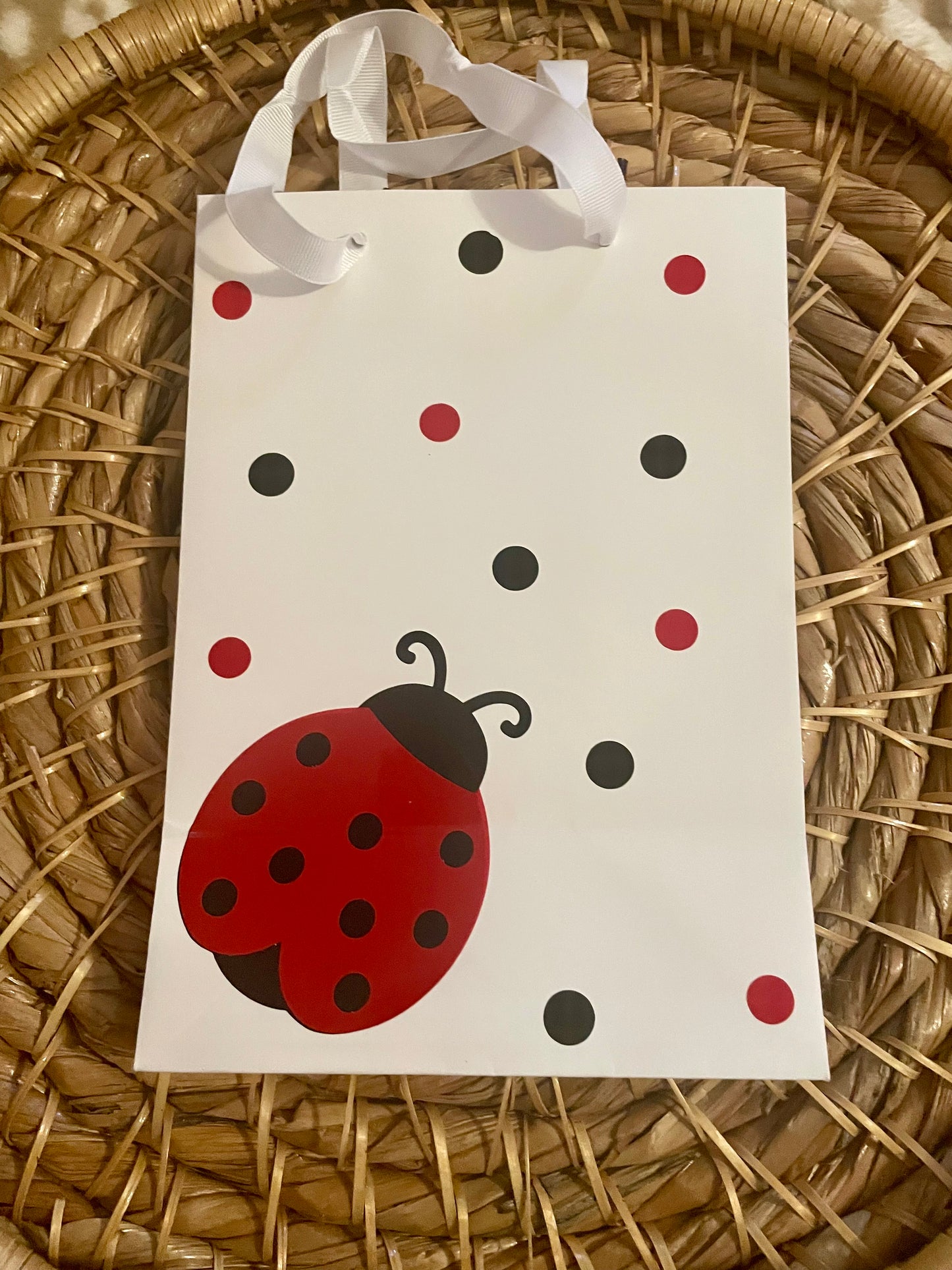 Gift Bag (Ladybug 🐞)