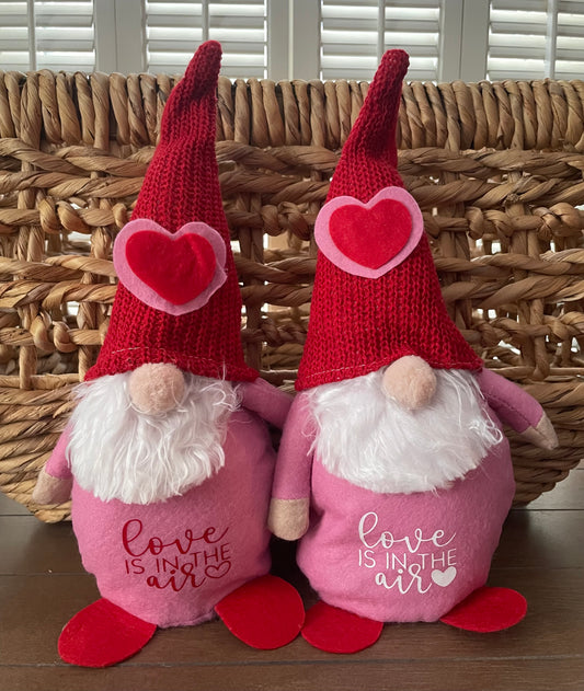 Valentine’s Day Gnome: Love is in the Air