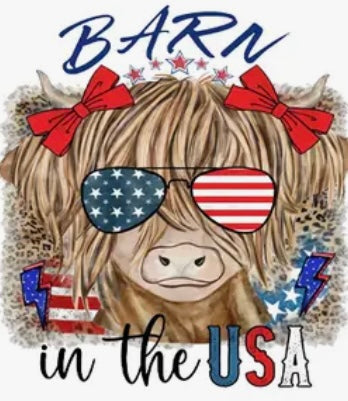 ✨Decal Only: Red, White, and Blue Cow