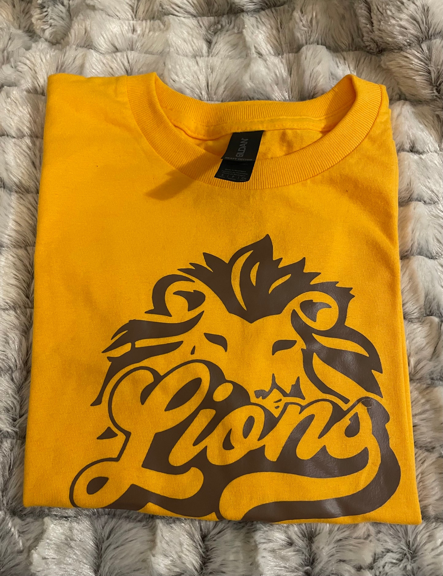 Greensburg Salem Lions: Youth T-Shirt