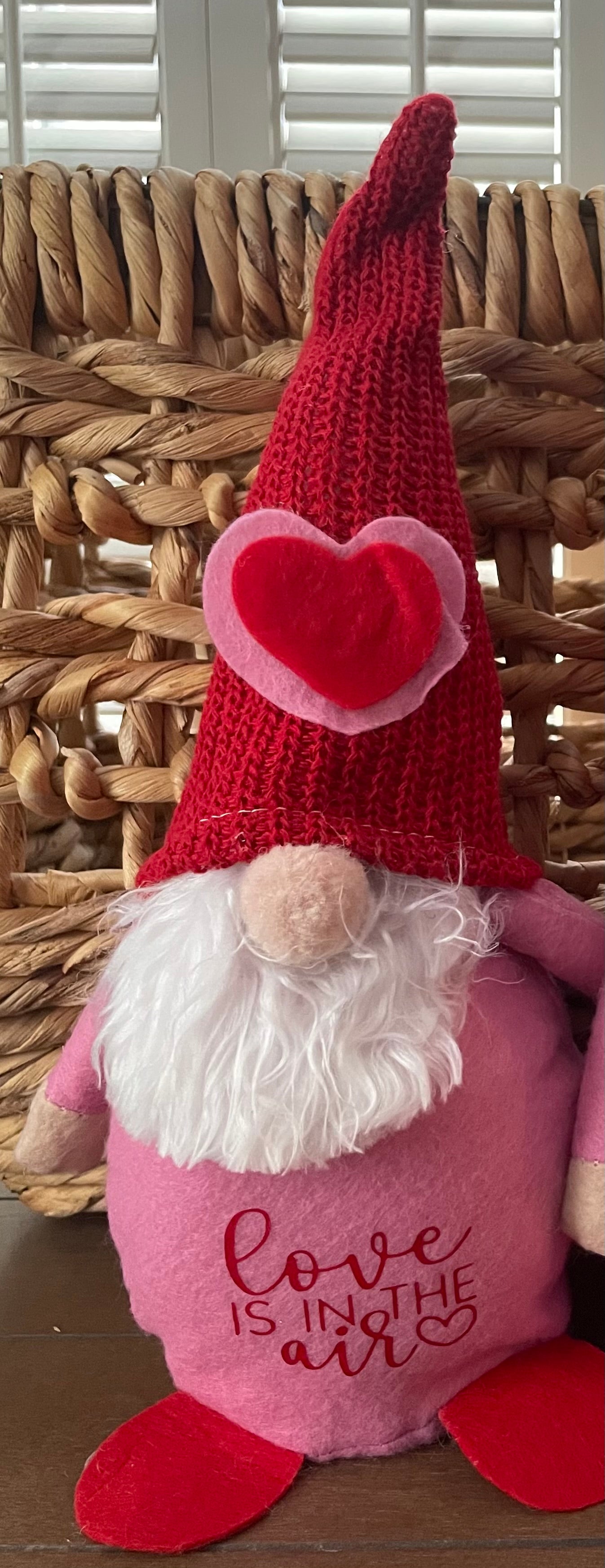 Valentine’s Day Gnome: Love is in the Air