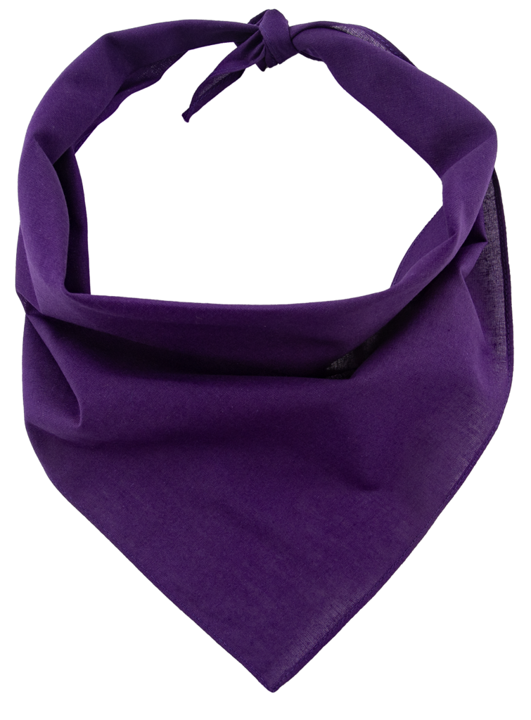 Pet Bandana