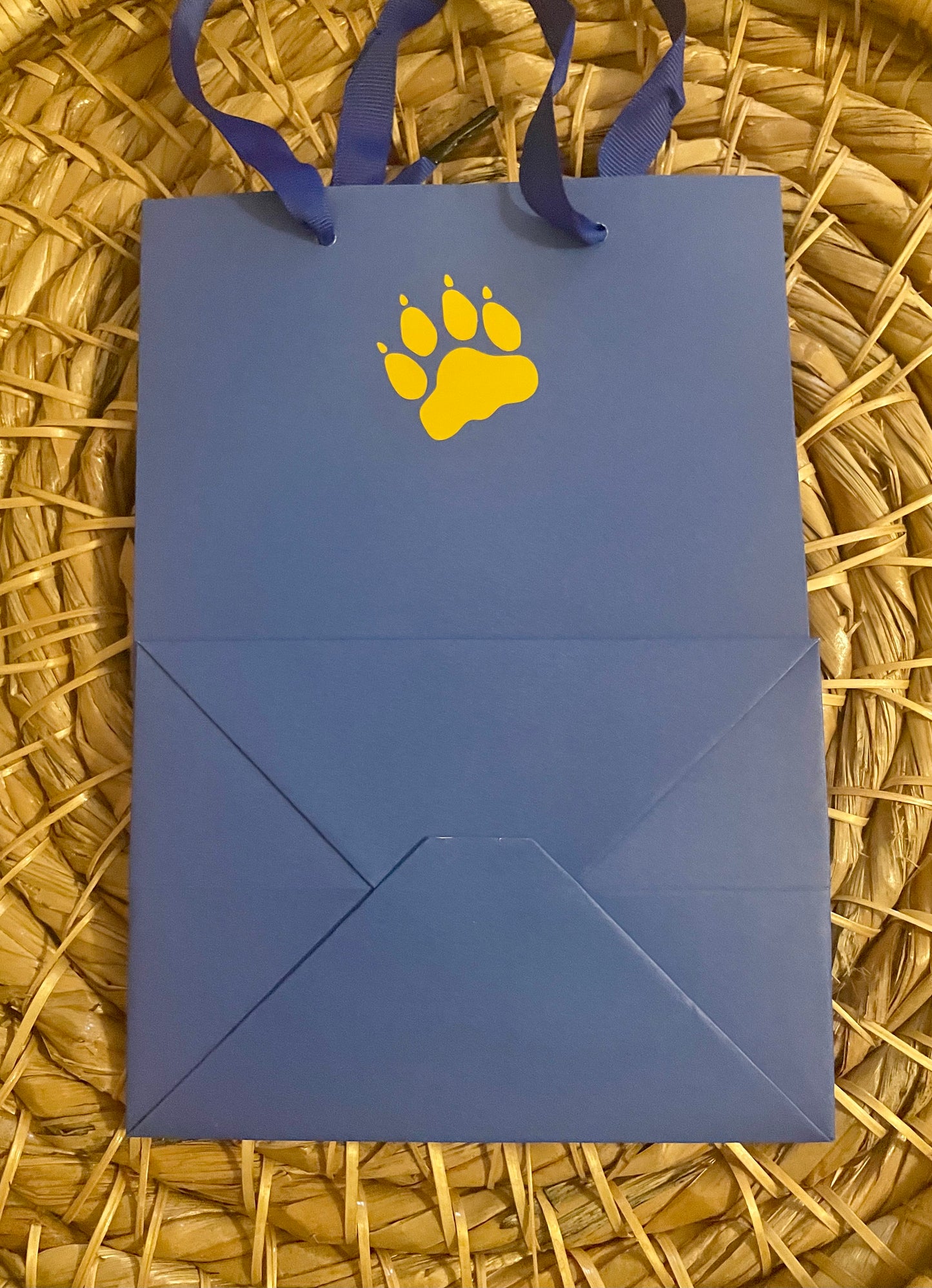 Gift Bag (Pittsburgh 💙💛)