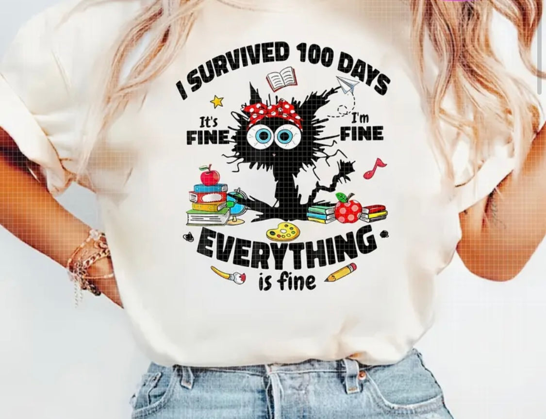 ✨Decal Only: 100 Days (I Survived 100 Days It’s Fine I’m Fine Everything is Fine)