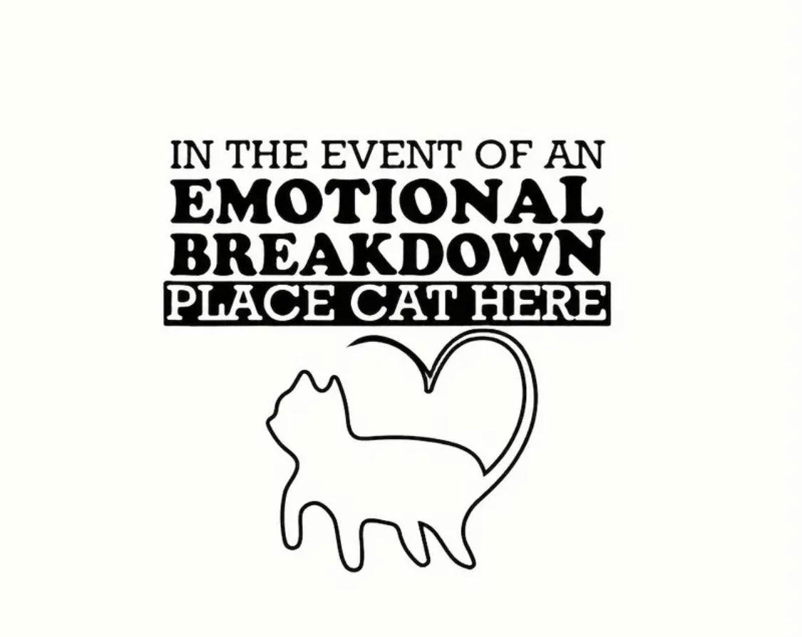 Decal Only: Emotional Breakdown Cat