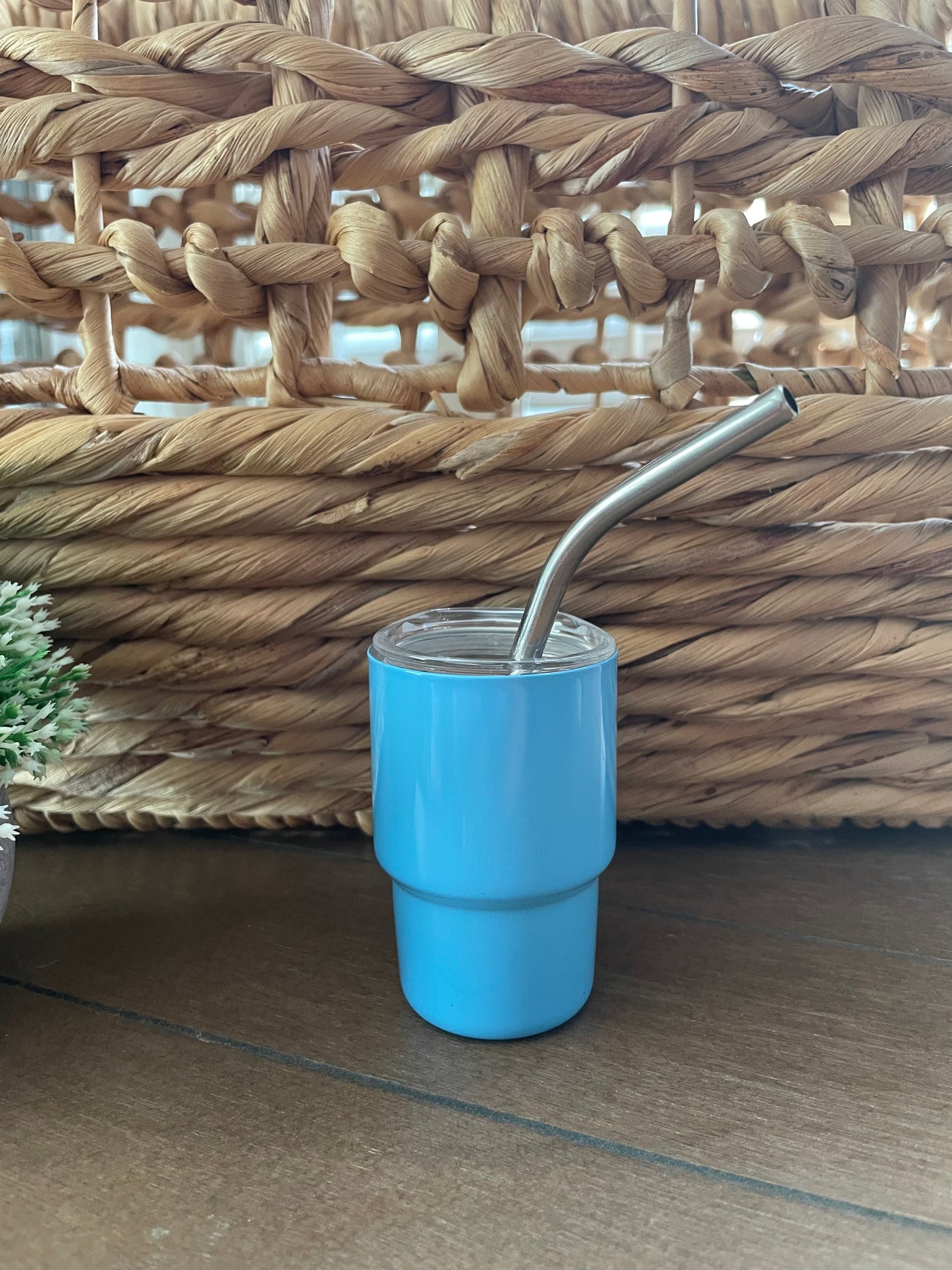 Tumbler: Shot Glass (One!)