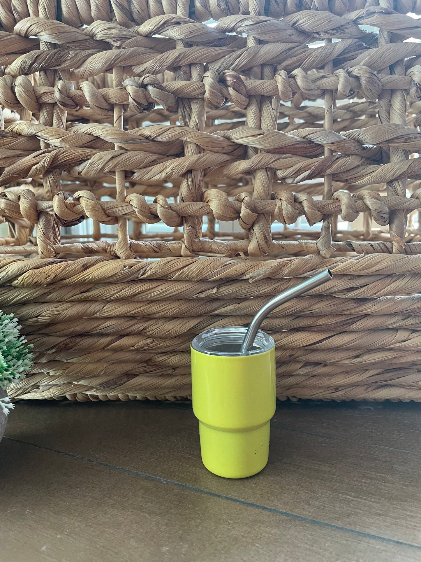 Tumbler: Shot Glass (One!)