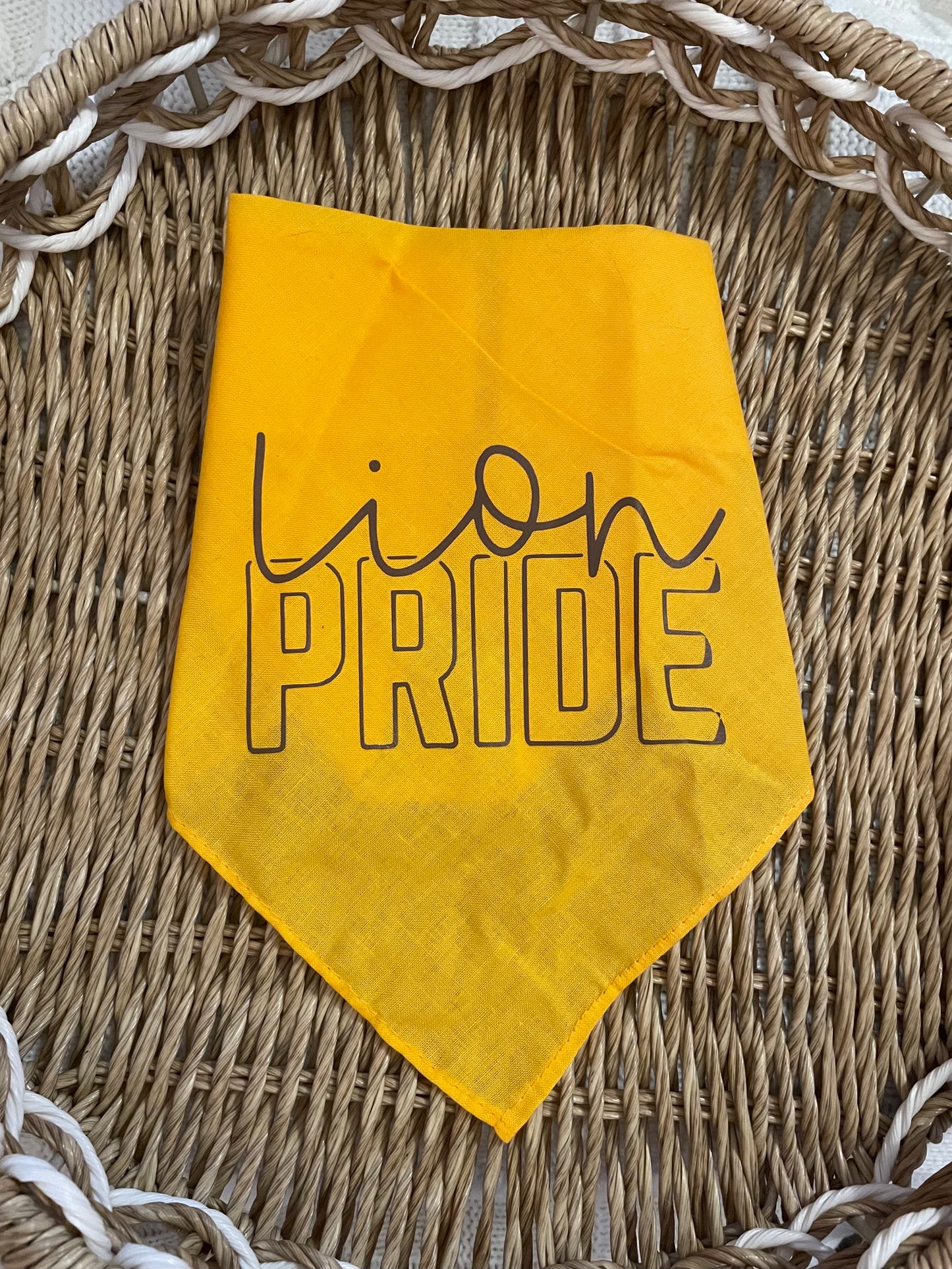 Pet Bandana: School Spirit