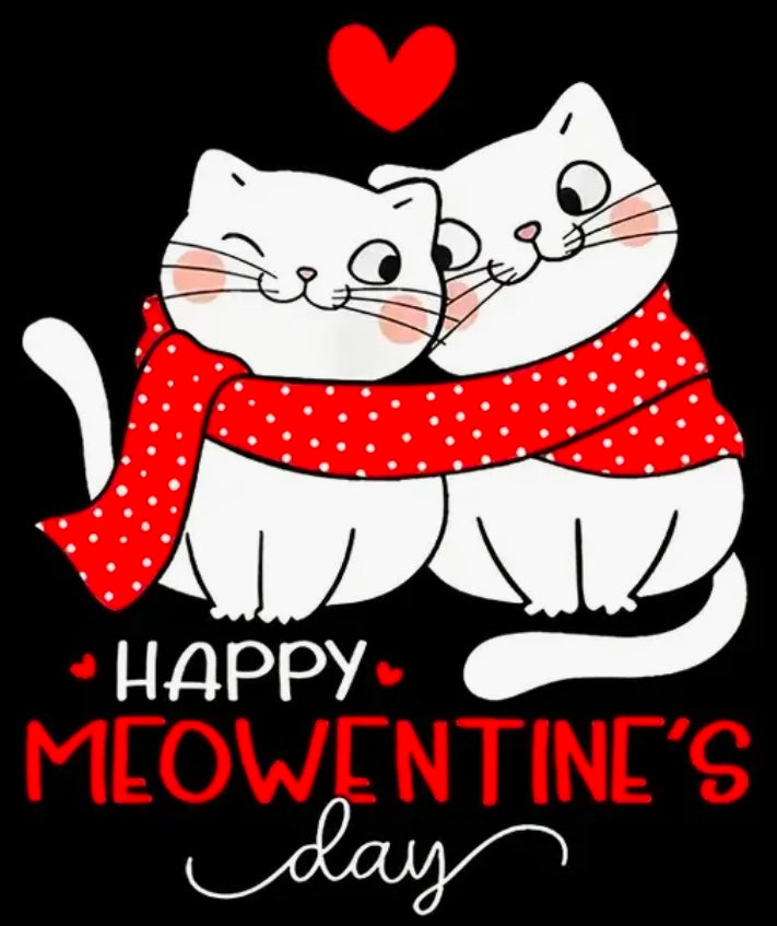 ✨Decal Only: Happy Meowentine’s Day