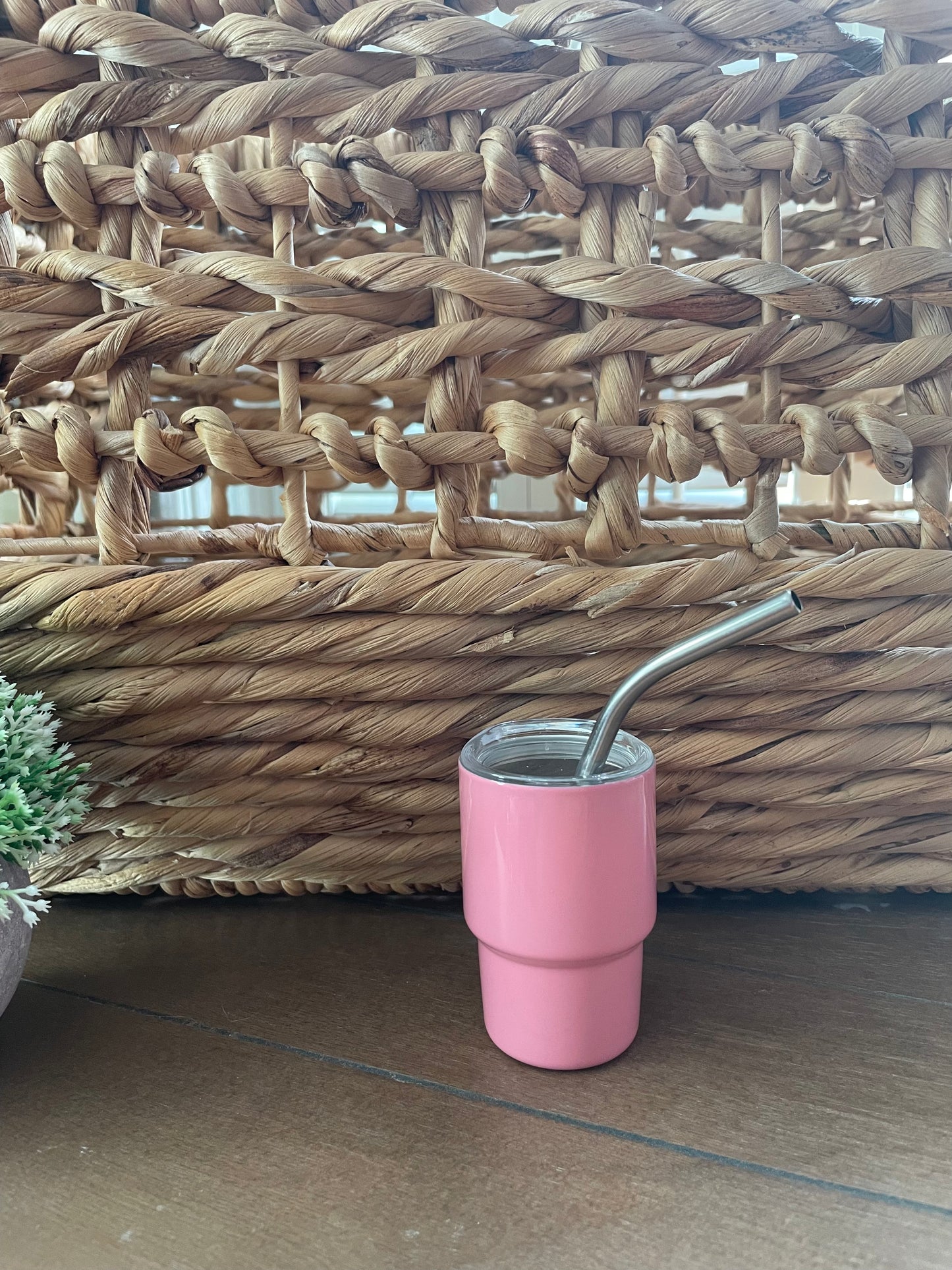 Tumbler: Shot Glass (One!)