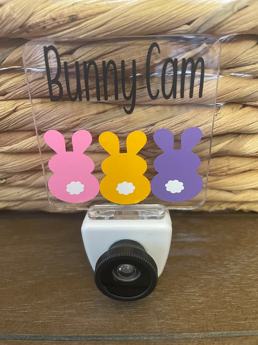 Easter: Bunny Cam